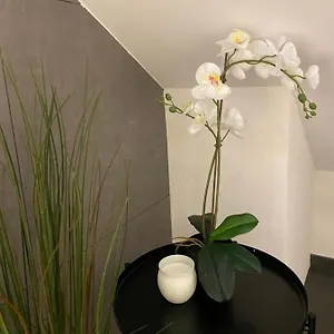 Appartement Eine Schoene An Der Birs, Bazel
